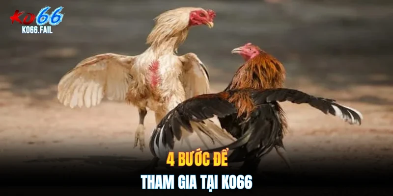 4 bước để tham gia tại KO66 4 bước để tham gia tại KO66