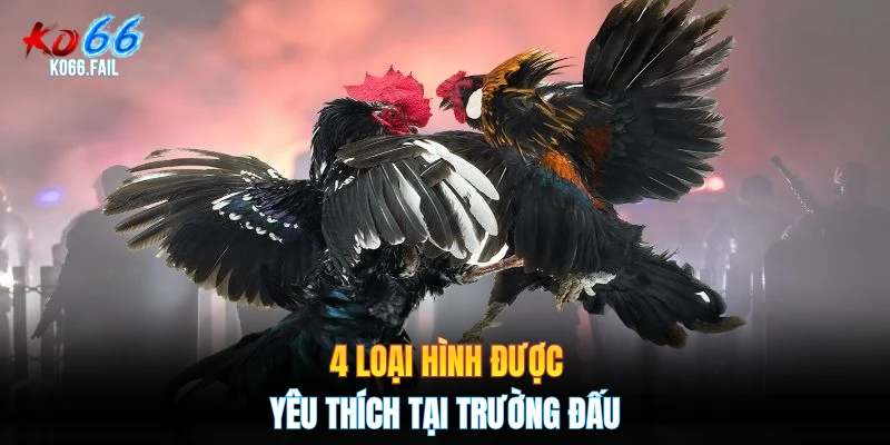 4 loại hình được yêu thích tại trường đấu 4 loại hình được yêu thích tại trường đấu