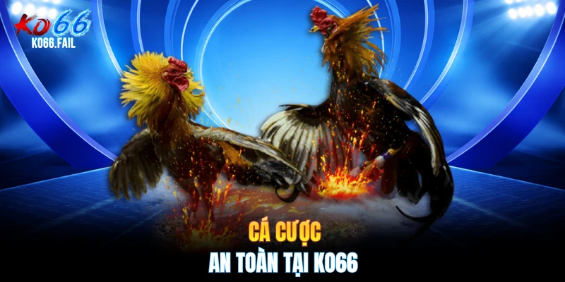 Cá cược an toàn tại KO66 Cá cược an toàn tại KO66