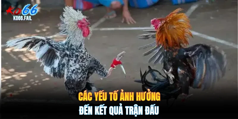 Các yếu tố ảnh hưởng đến kết quả trận đấu