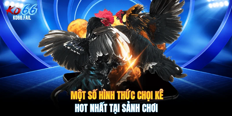 Một số hình thức chọi kê hot nhất tại sảnh chơi Một số hình thức chọi kê hot nhất tại sảnh chơi